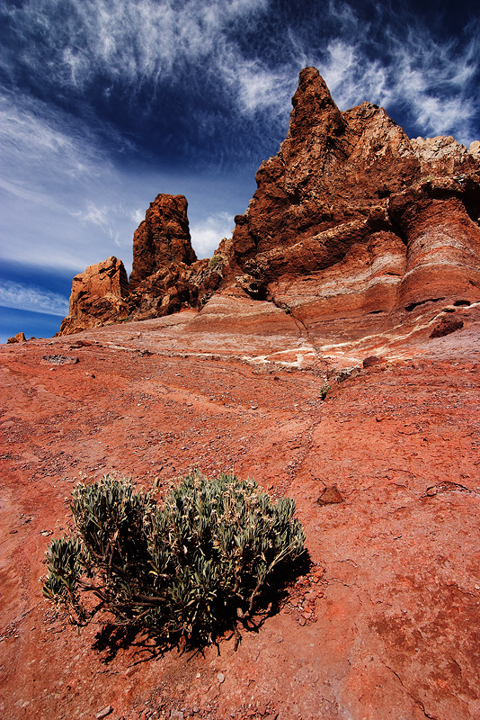  Fotografie Kanárské ostrovy, ostrov Tenerife