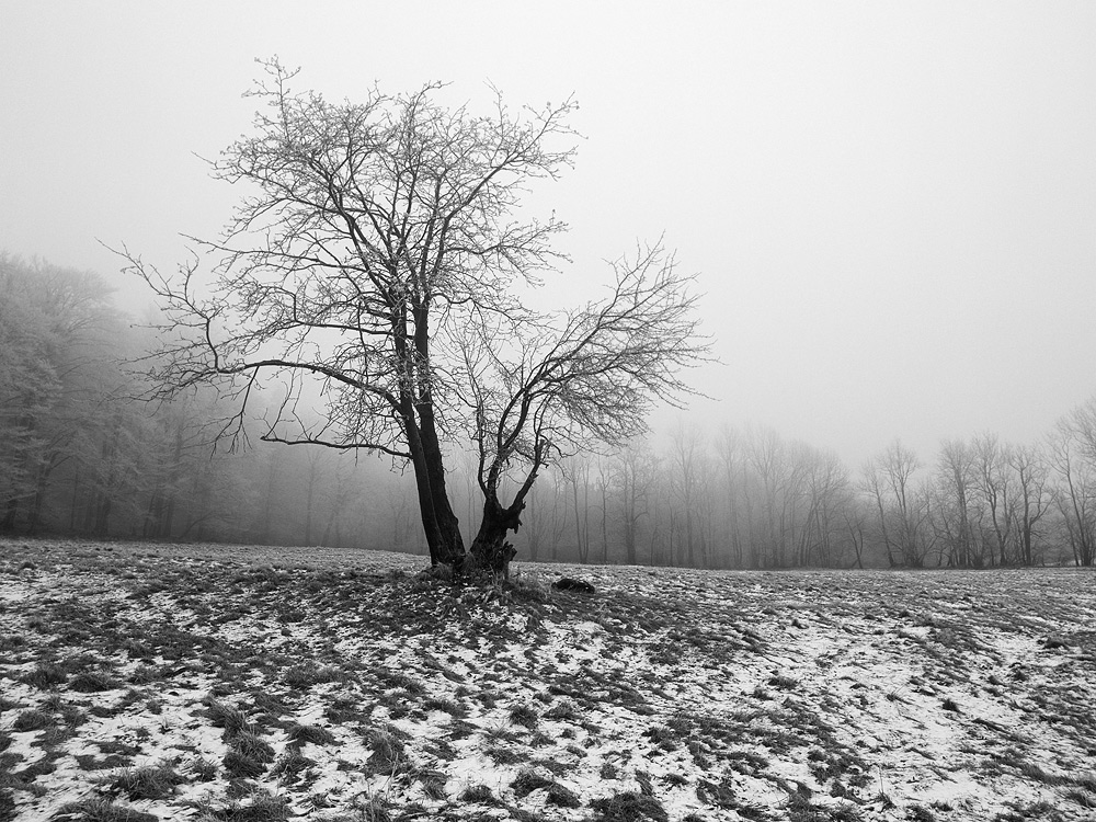  Fotografie Lužické hory