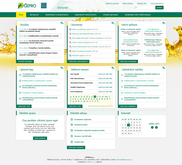 Grafika internetových a intranetových stránek společnosti Čepro.