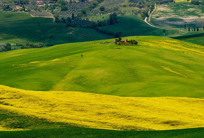  Fotografie Jarní krajina - Jarní žlutozelená toskánská krajina.