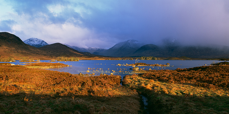  Fotografie Skotské ráno - Nádherné ráno u vřesoviště Rannoch moor v oblasti Skotské vysočiny (Highland).